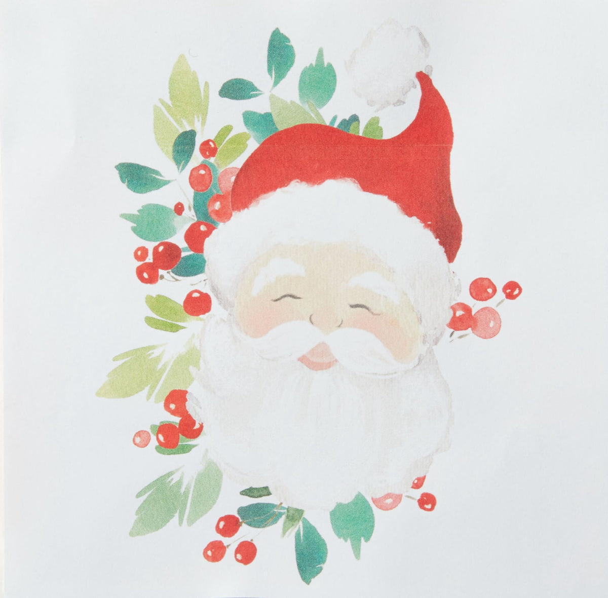 Holiday Santa Napkins