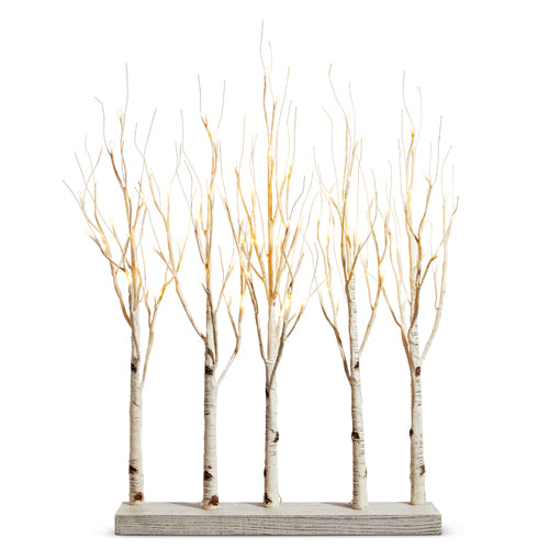 Birch Lighted Grove