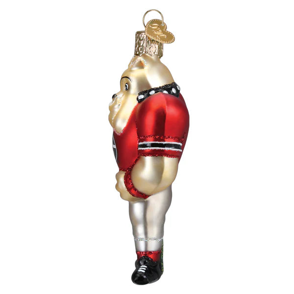 UGA Hairy Dawg Ornament