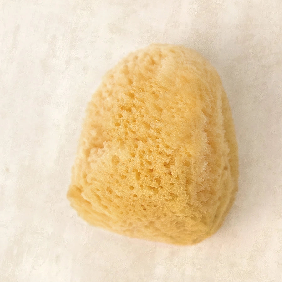 Cosmetic Silk Sea Sponge