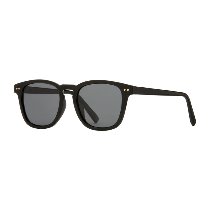 Ansen Polarized Sunglasses