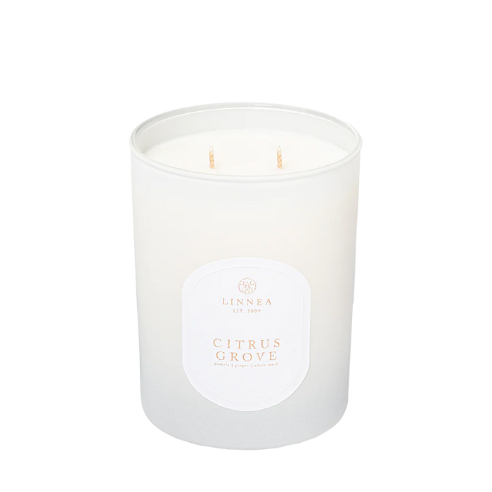 Citrus Grove Candle