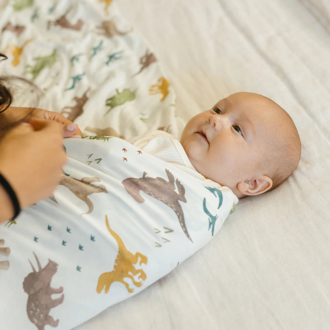 Stretch Knit Swaddle Blanket Pack