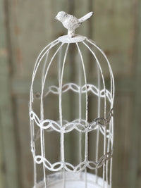 Decorative Cage