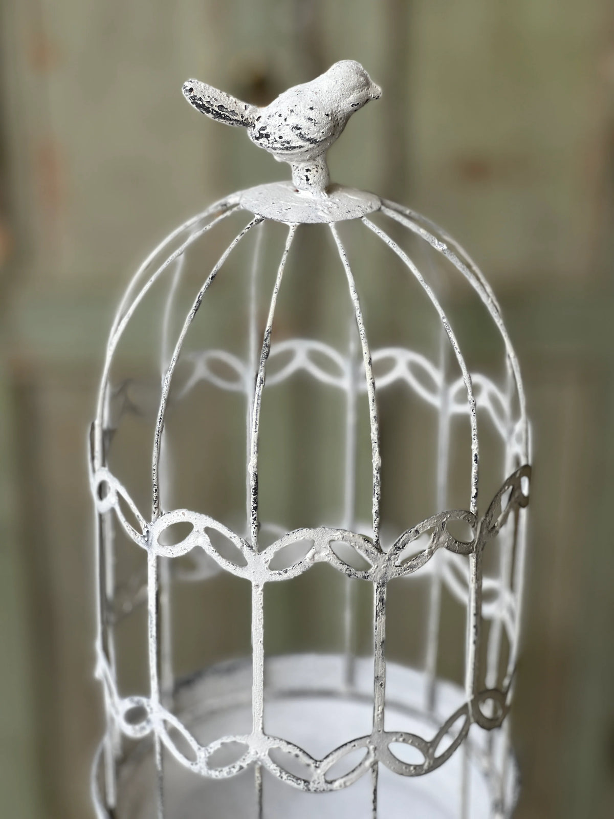 Decorative Cage