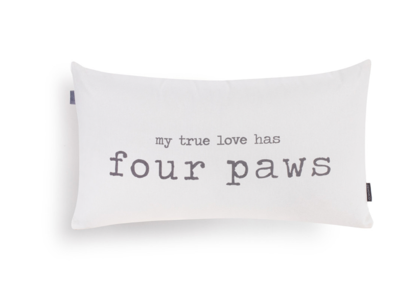 Four Paws Pillow