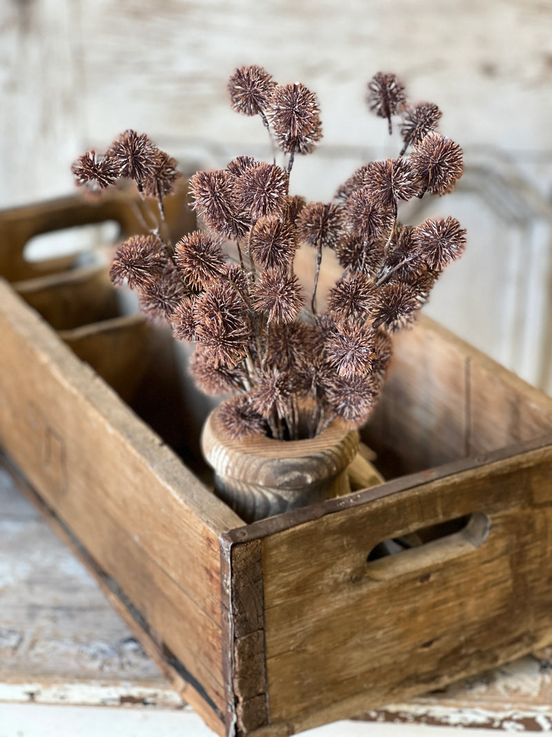 Urchin Buds