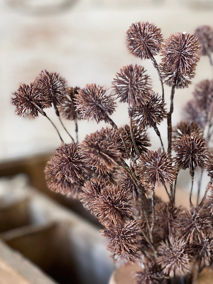 Urchin Buds