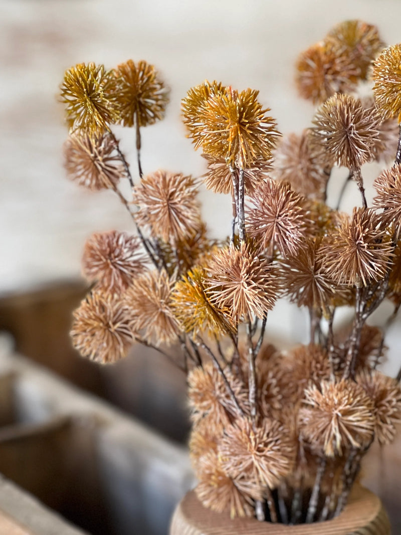 Urchin Buds