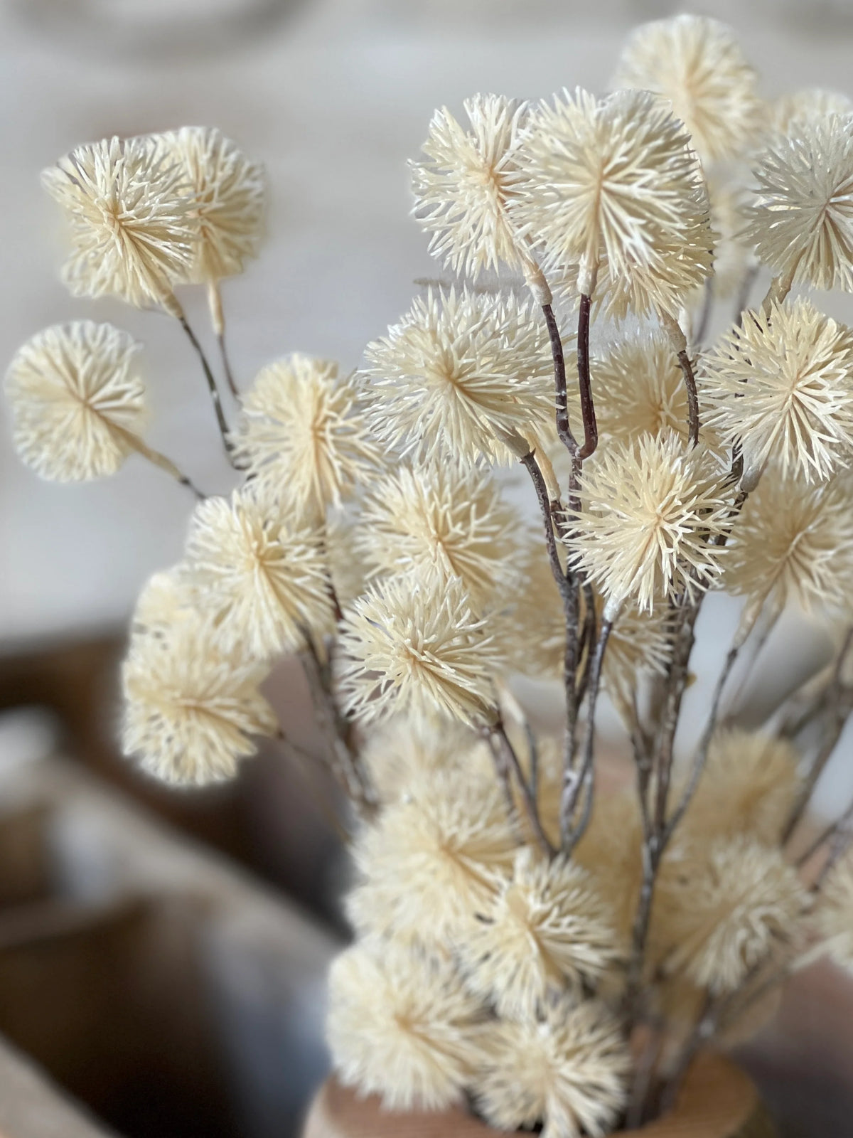 Urchin Buds