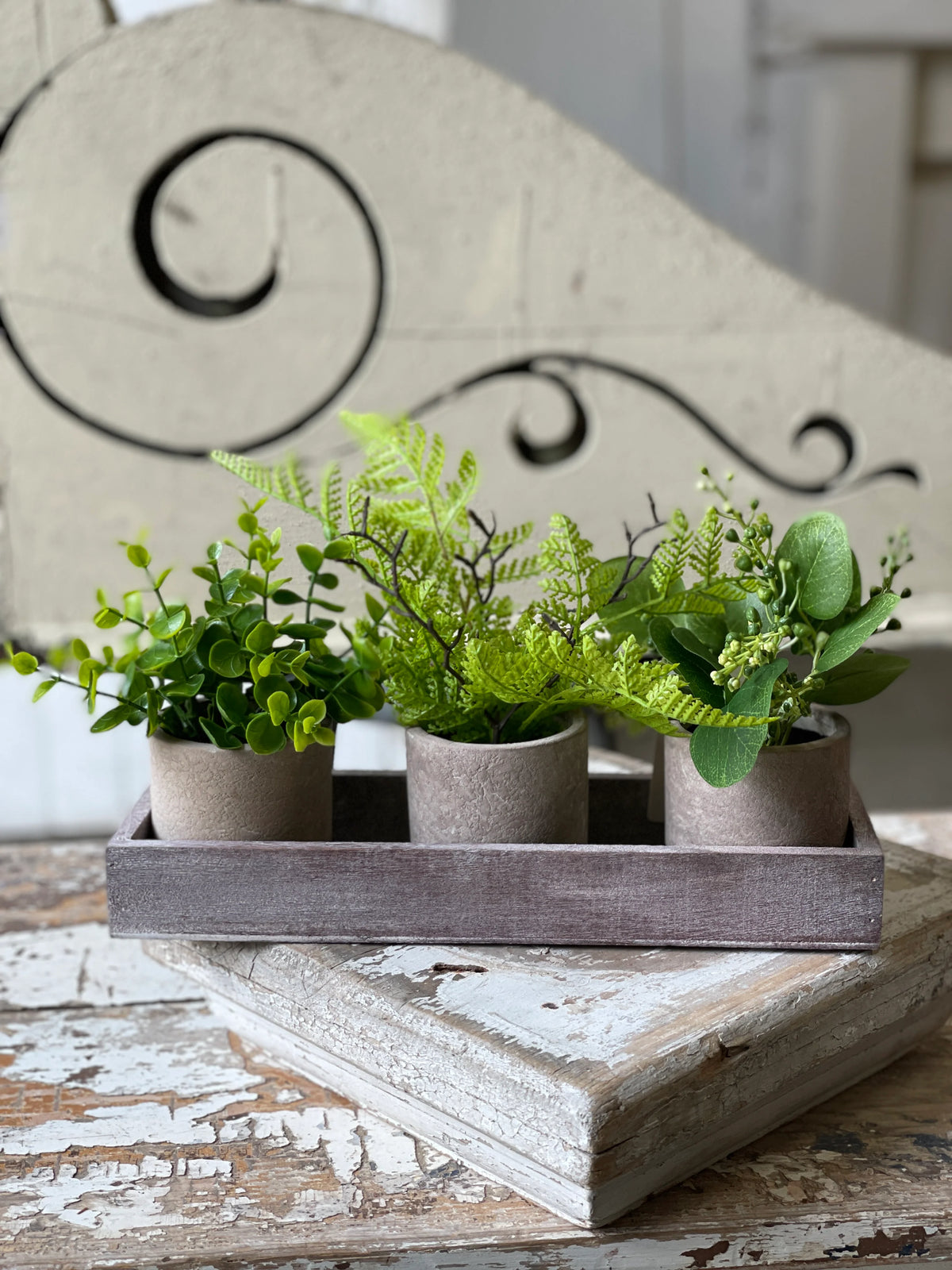 Carlisle Eucalyptus Arrangement