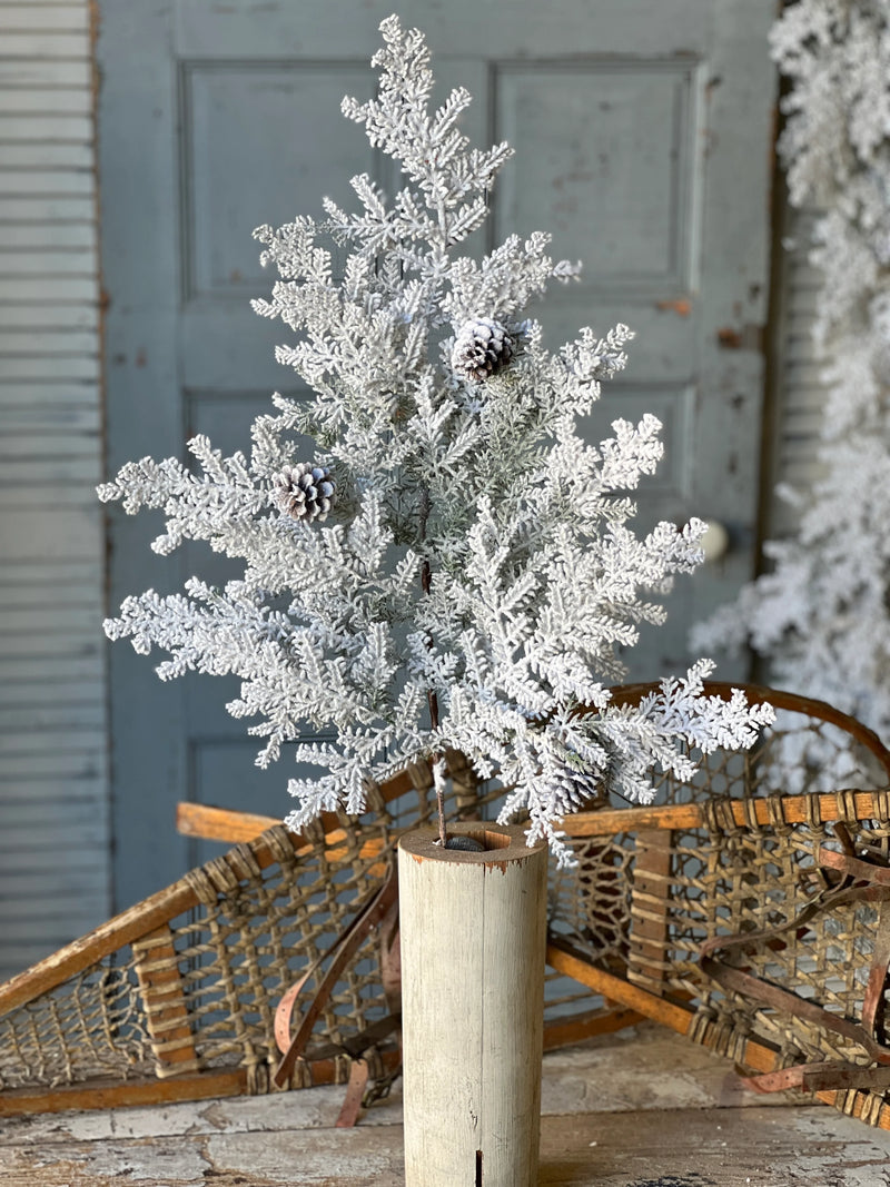 Snowy Hemingway Fir Spray