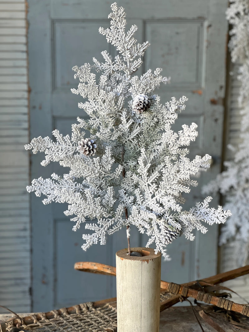 Snowy Hemingway Fir Spray