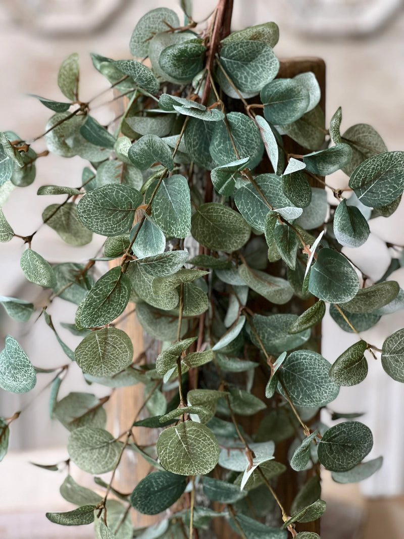 Garden Eucalyptus Drop