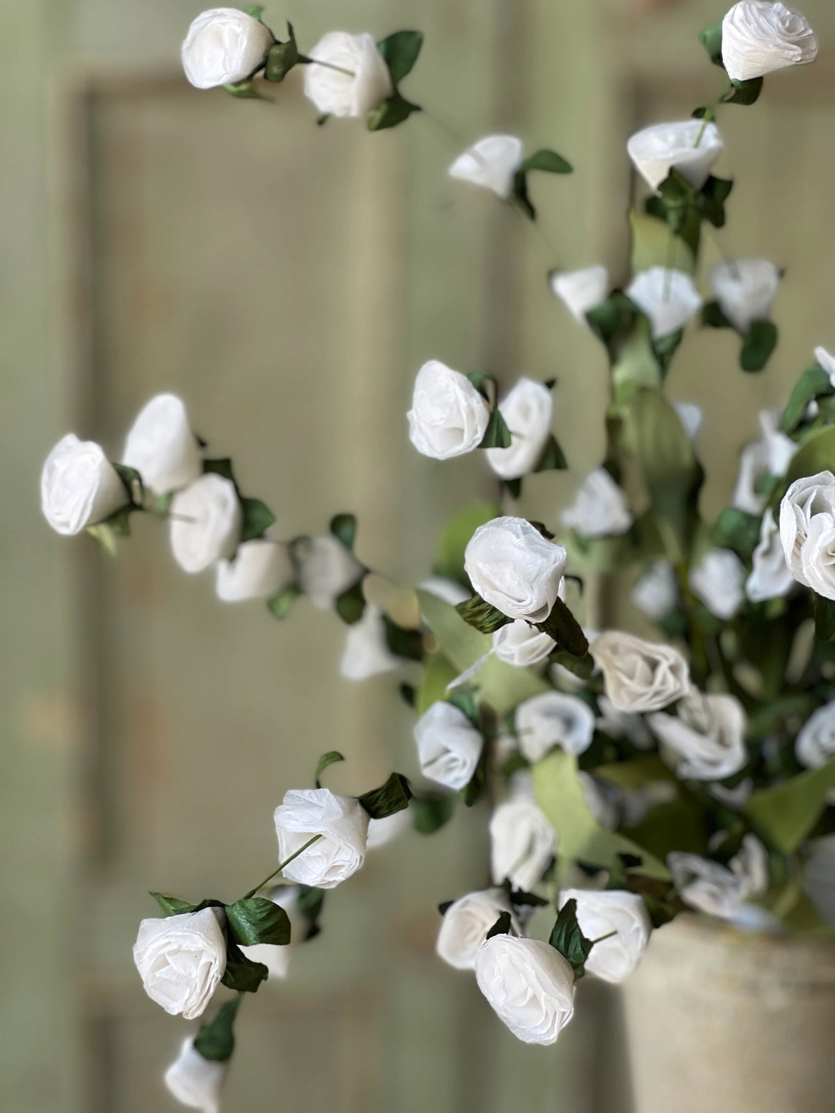 Crinoline Blooms Bush