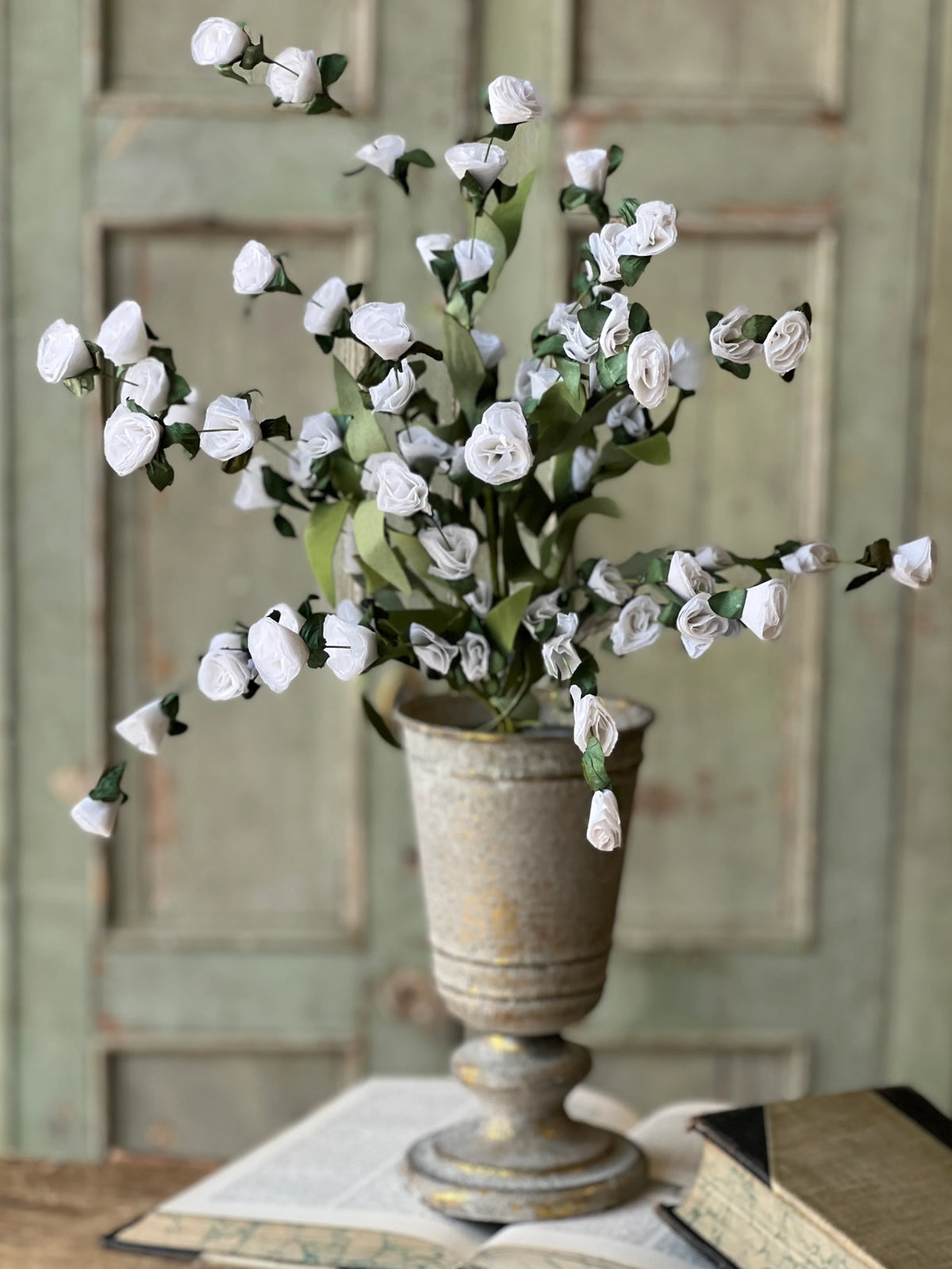 Crinoline Blooms Bush