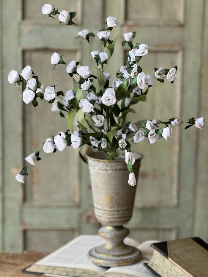 Crinoline Blooms Bush