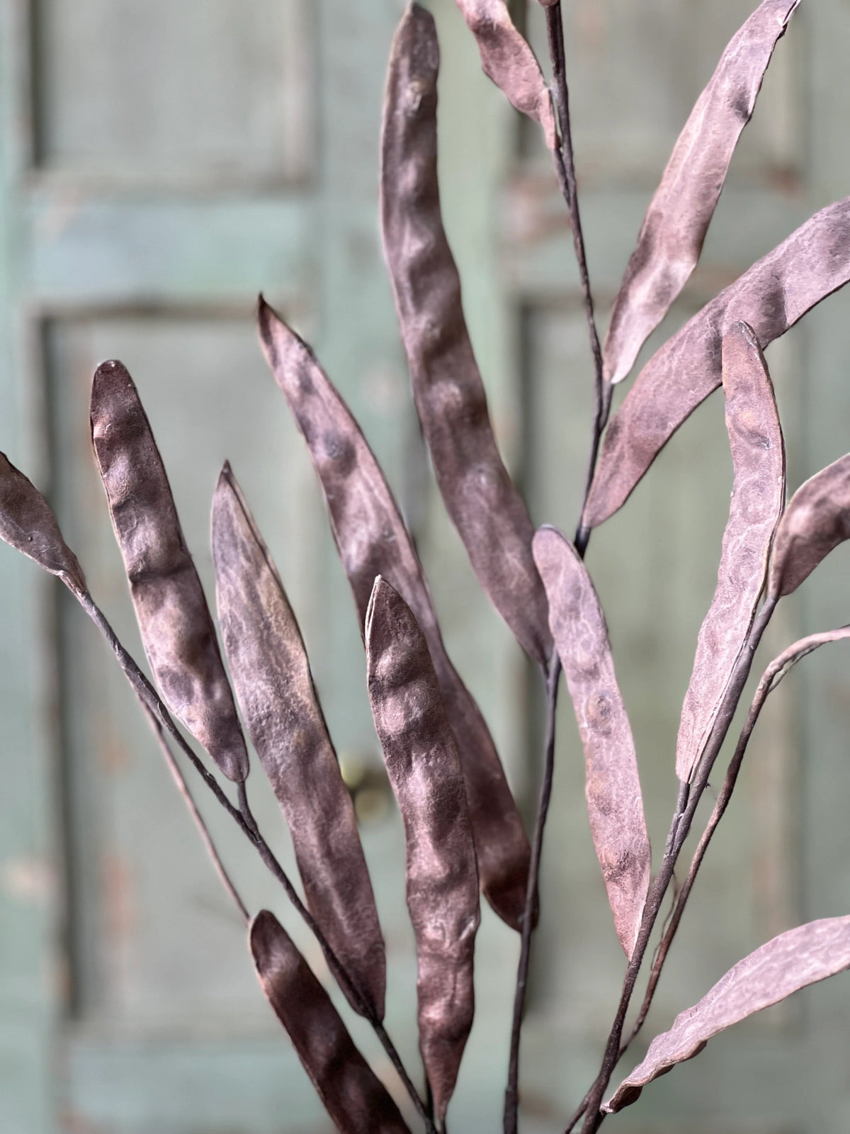 Chickory Pod Spray