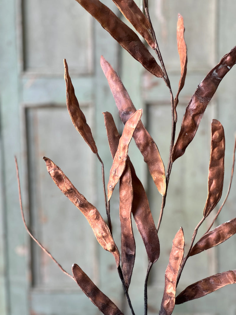 Chickory Pod Spray