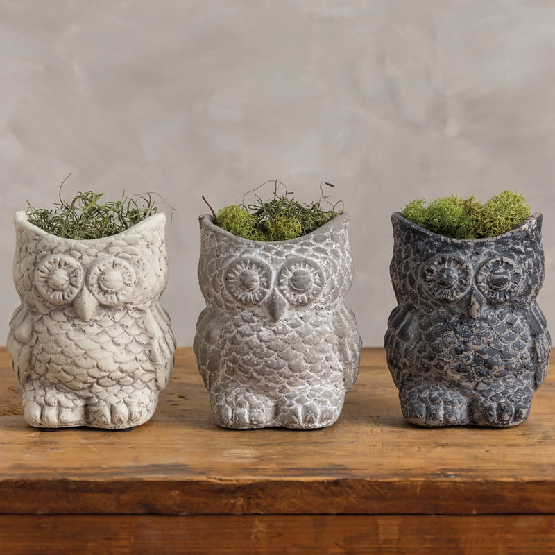 Cement Owl Planter