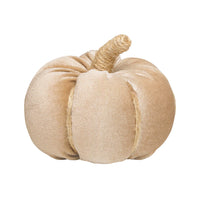 Velvet Pumpkin