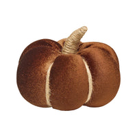 Velvet Pumpkin