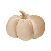 Velvet Pumpkin