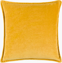 Cotton Velvet Pillow 22x22