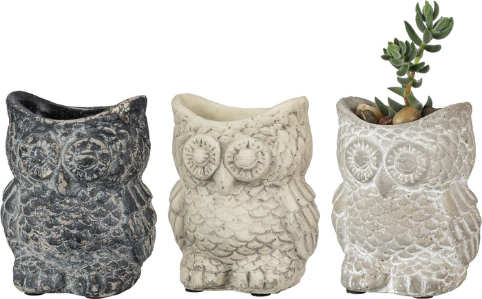 Cement Owl Planter