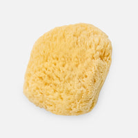 Cosmetic Silk Sea Sponge