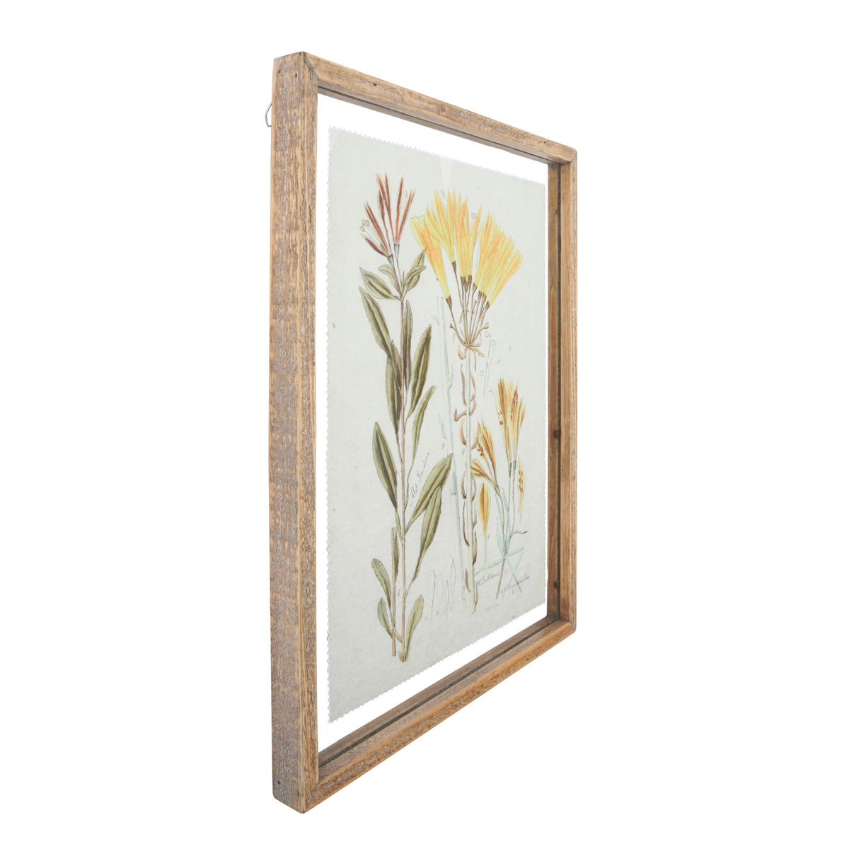 Floral Framed Wall Décor