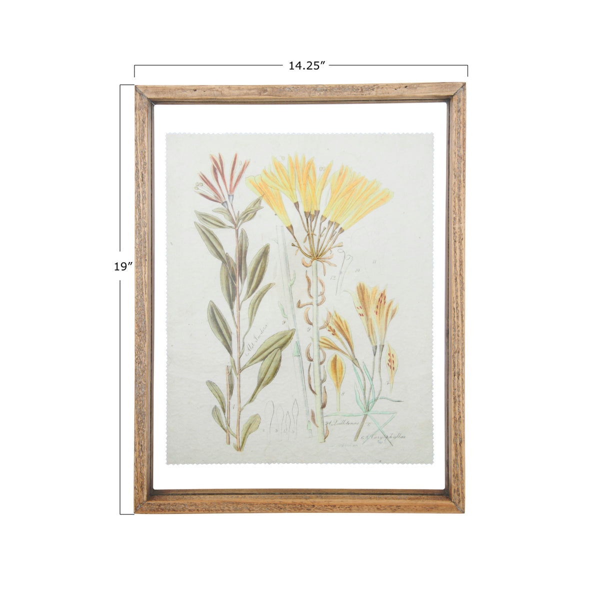 Floral Framed Wall Décor