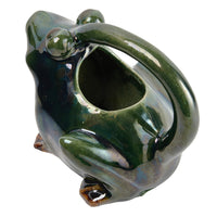 Frog Watering Pitcher