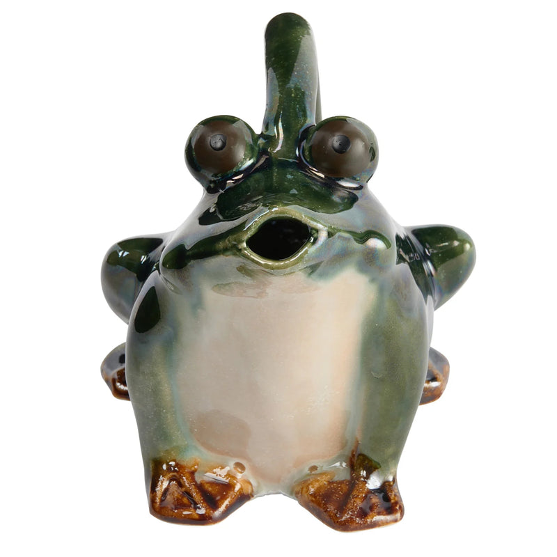 Frog Watering Pitcher