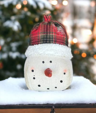 Plaid Toboggan Snowman Head